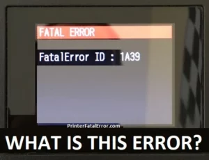 Epson L110 Fatal Errors - What is this
